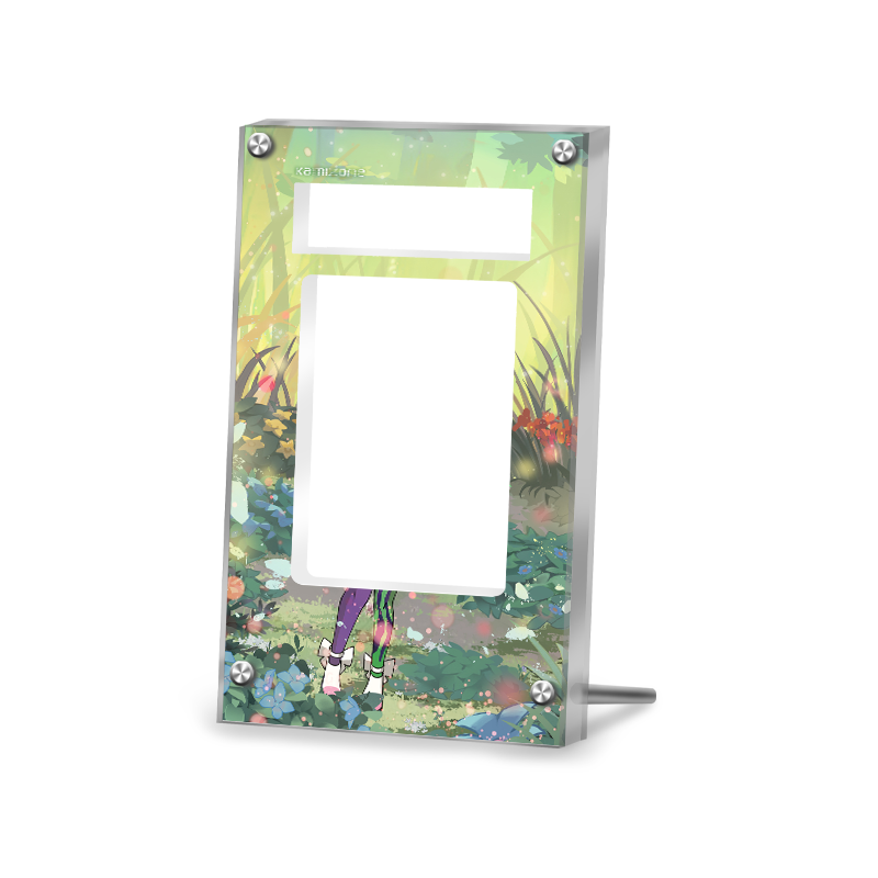 Klara 194/198 Pokémon Extended PSA Artwork Protective Card Display Case